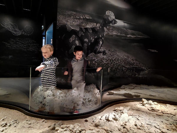 Parcours Traces du vivant