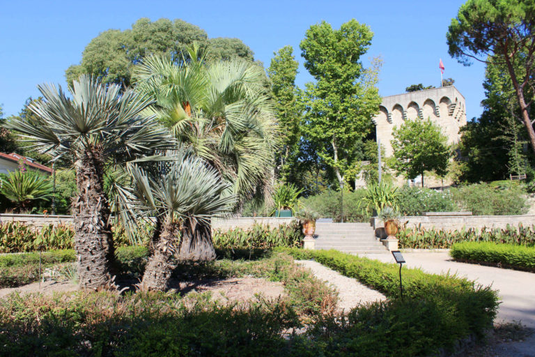 jardin-des-plantes-montpellier