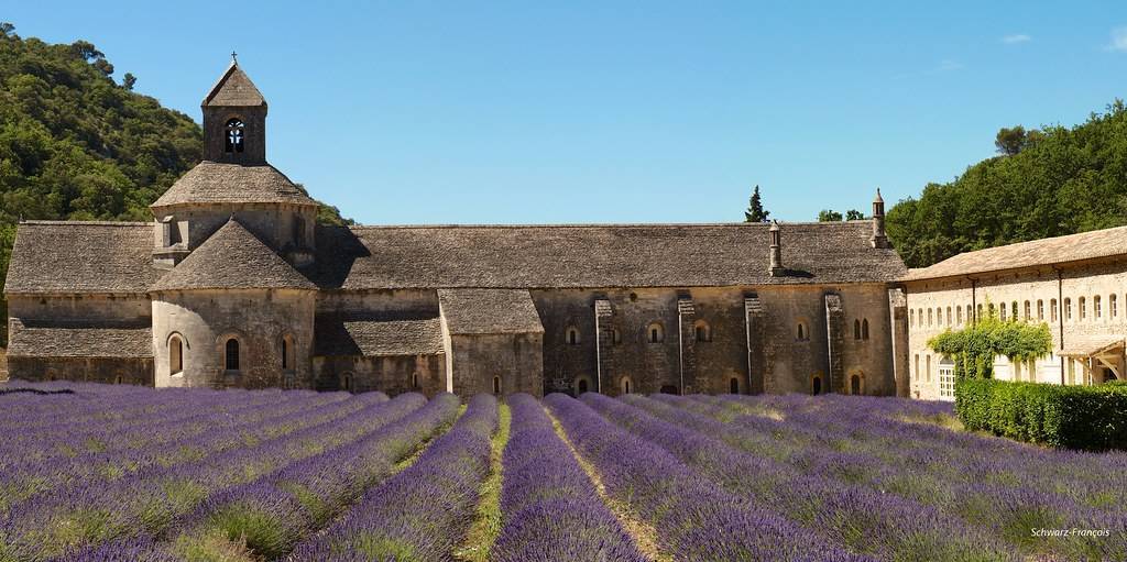 Abbaye de Sénanque