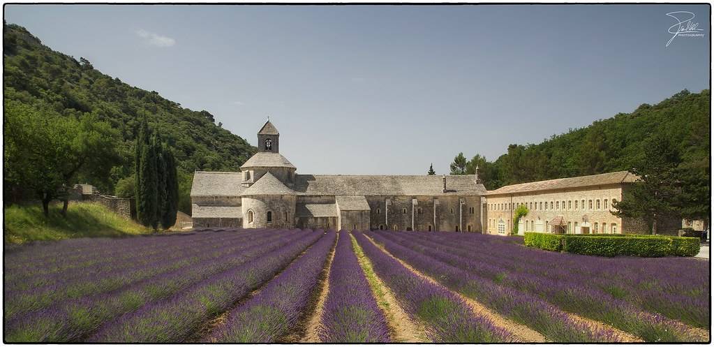 Abbaye de Sénanque