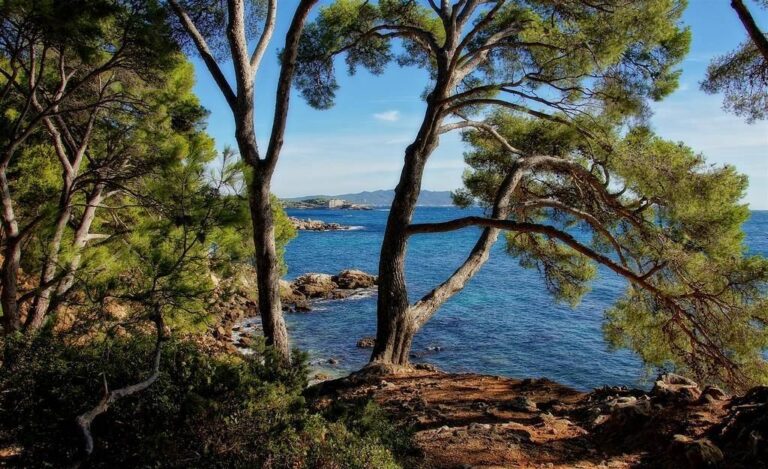 Bandol