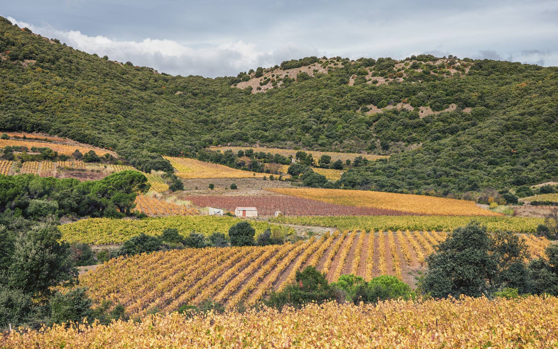 Cabrières