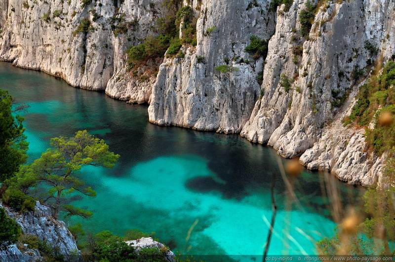 Cassis