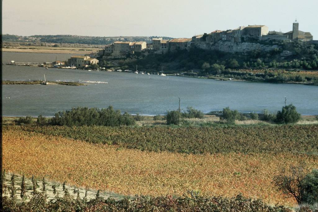 Étang de Bages-Sigean