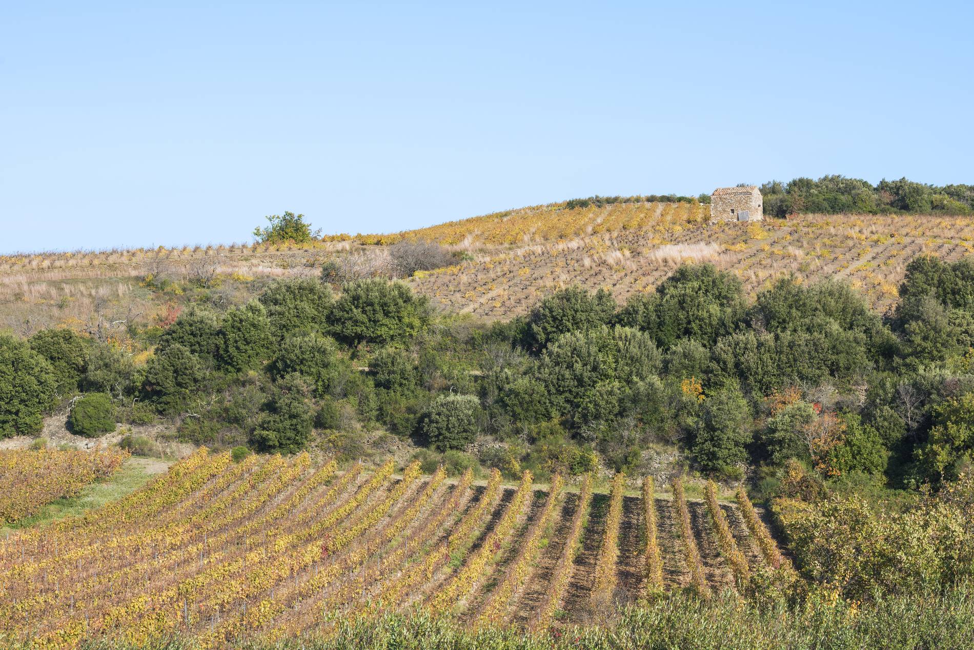 Faugères