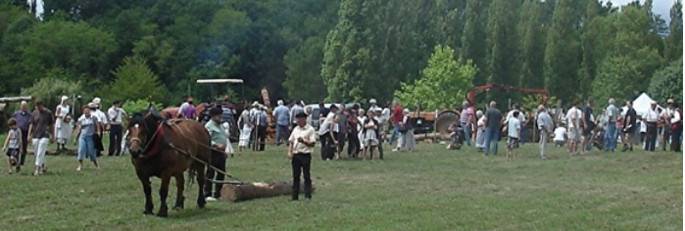 Fête du Bois à Briançon
