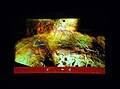Grotte de Gargas