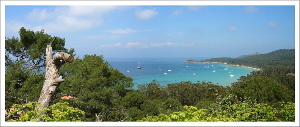 Île de Porquerolles