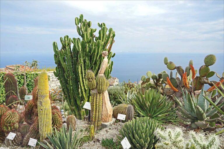 Jardin exotique d’Èze