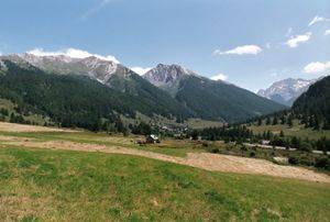 Le miel de montagne du Queyras
