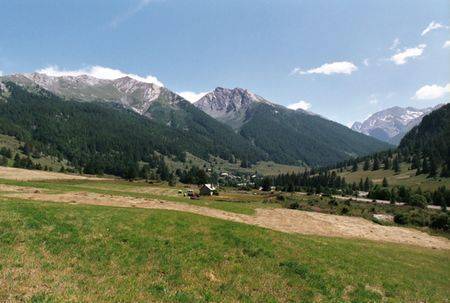 Le miel de montagne du Queyras