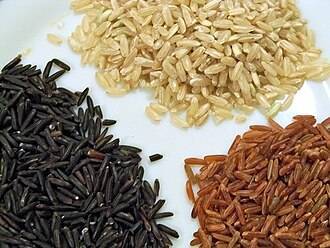 Le riz de Camargue IGP