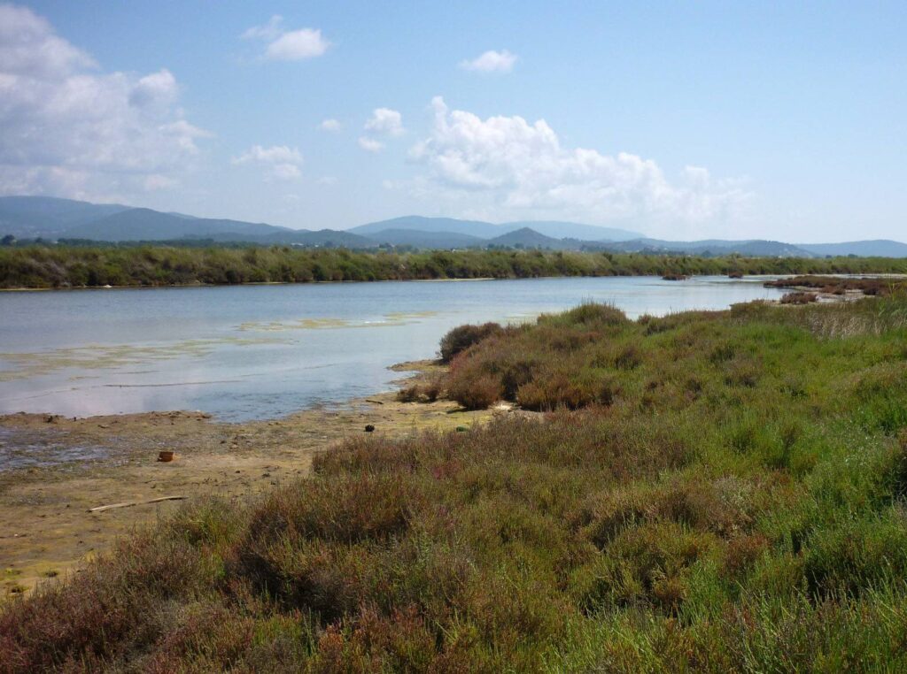 Les Salins d’Hyères