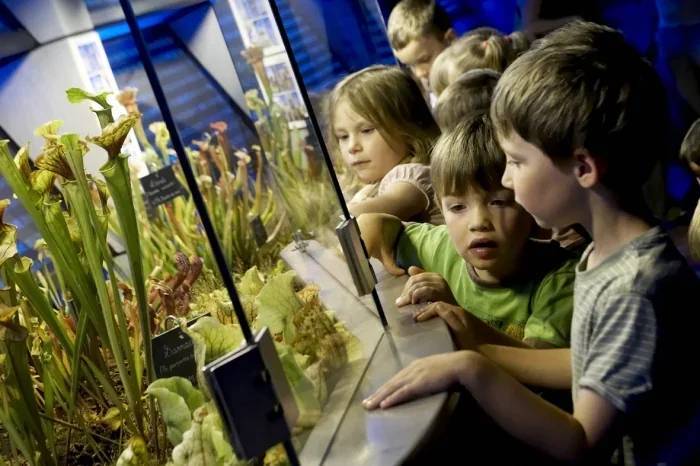 Micropolis, la Cité des Insectes