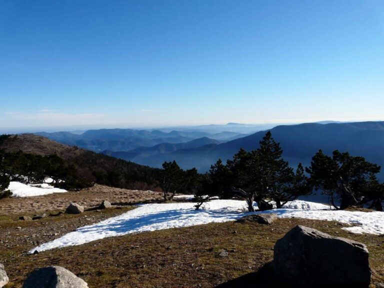 Mont Aigoual