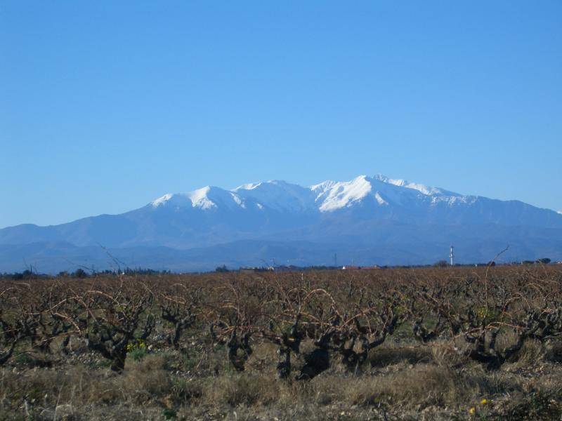 Mont Canigou