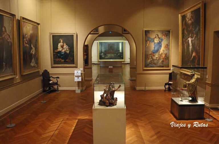 Musée Goya (Castres)
