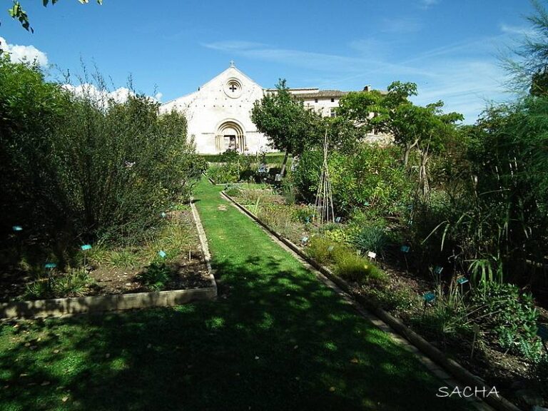 Musée-jardin de Salagon (Mane)