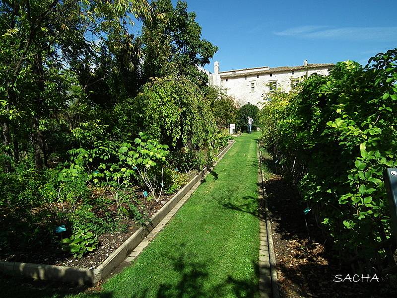 Musée-jardin de Salagon (Mane)