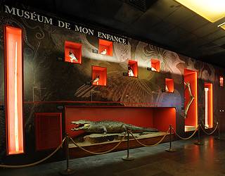 Muséum de Toulouse