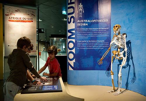 Muséum de Toulouse