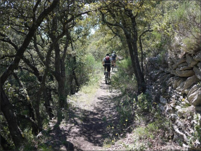Randonnée dans le Luberon (Lourmarin-Bonnieux)