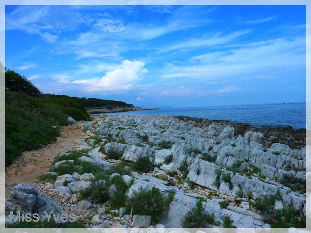 Sentier des Douaniers (Cap Lardier)