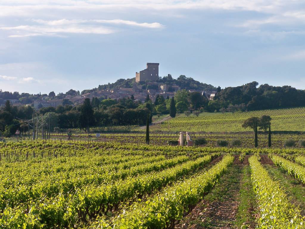 Vignobles AOC Châteauneuf-du-Pape