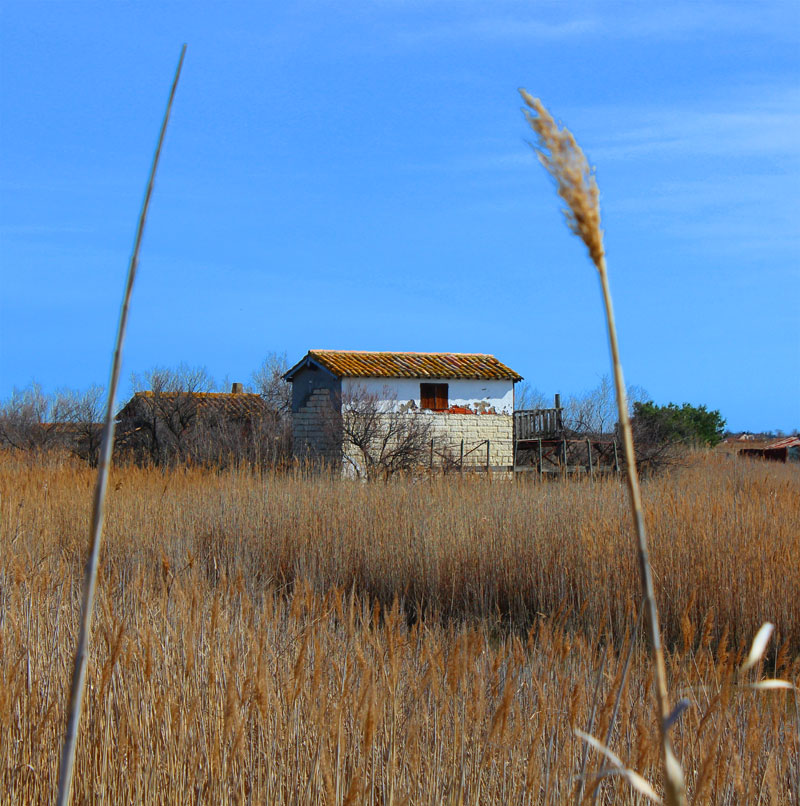 Cabane-lansargues