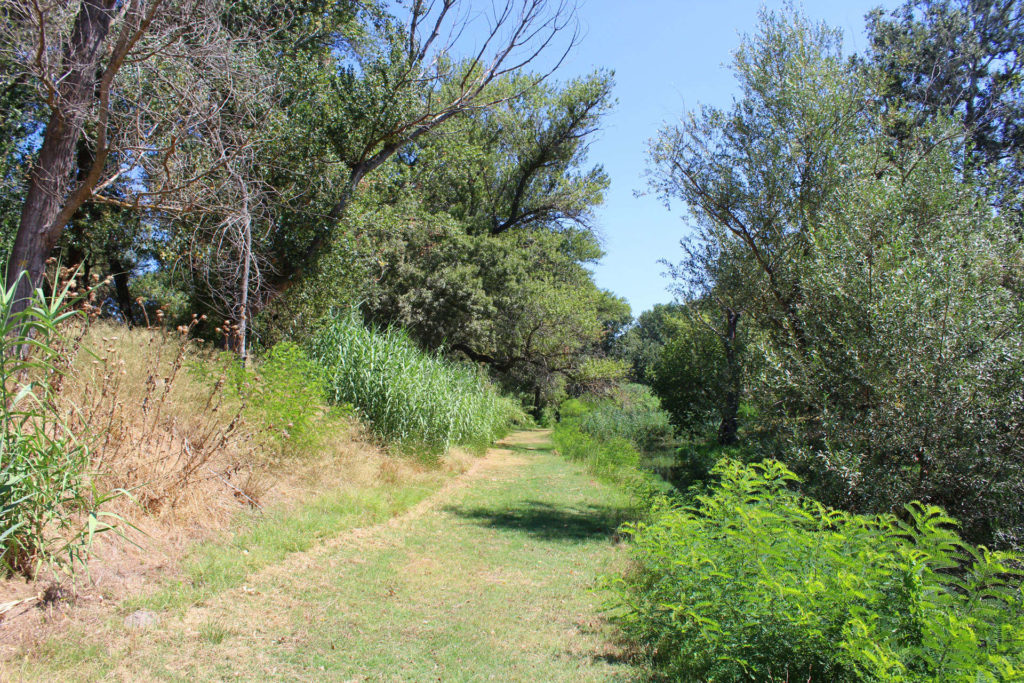nature-ilot-alfred