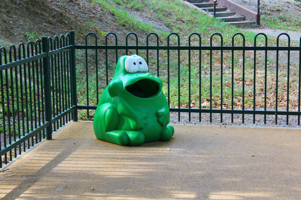 Grenouille Parc Montplaisir