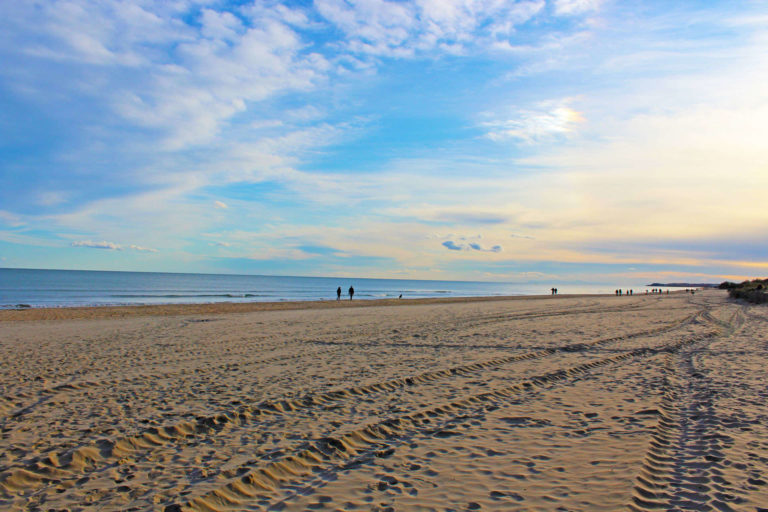 Plage d'Honneur de Marseillan