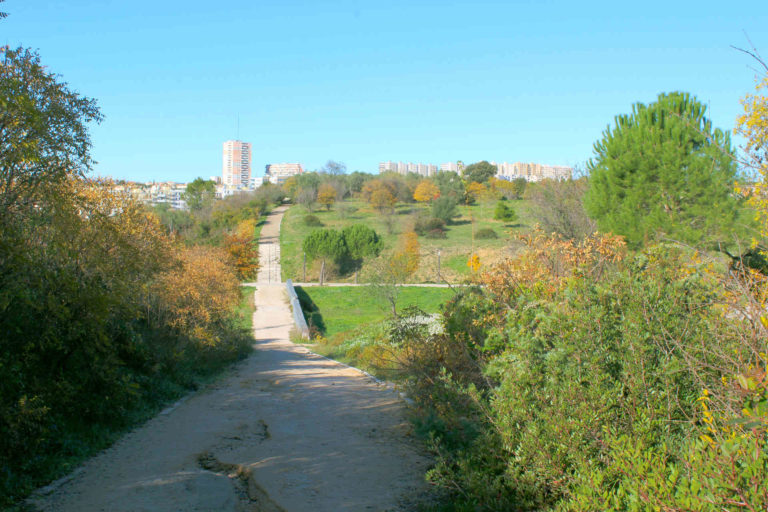 Parc Malbosc