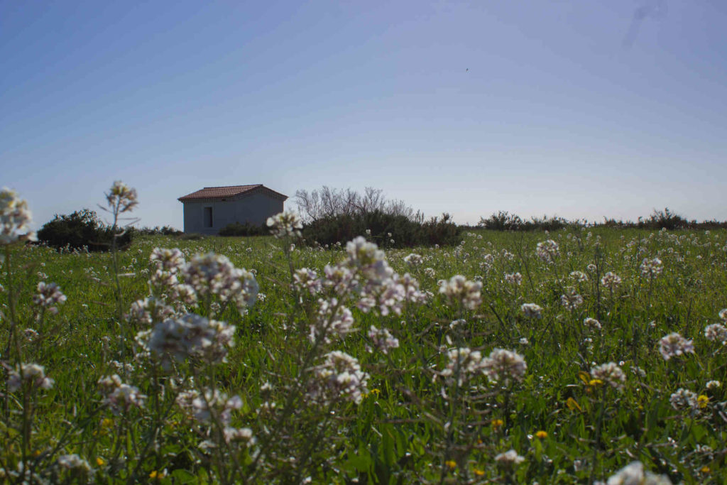 Cabanes Mireval