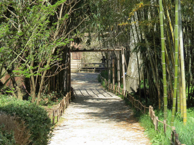 Anduze